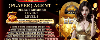 User Account Interface